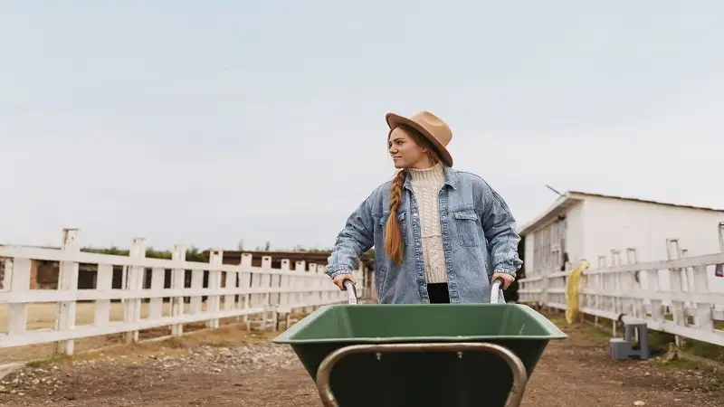 How Skip Bin Hire on the Gold Coast Helps Keep Renovation Projects on Track